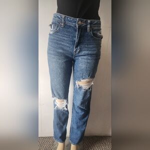 American Eagle Outfitters Blue Straight Leg Jeans Size  6 Long